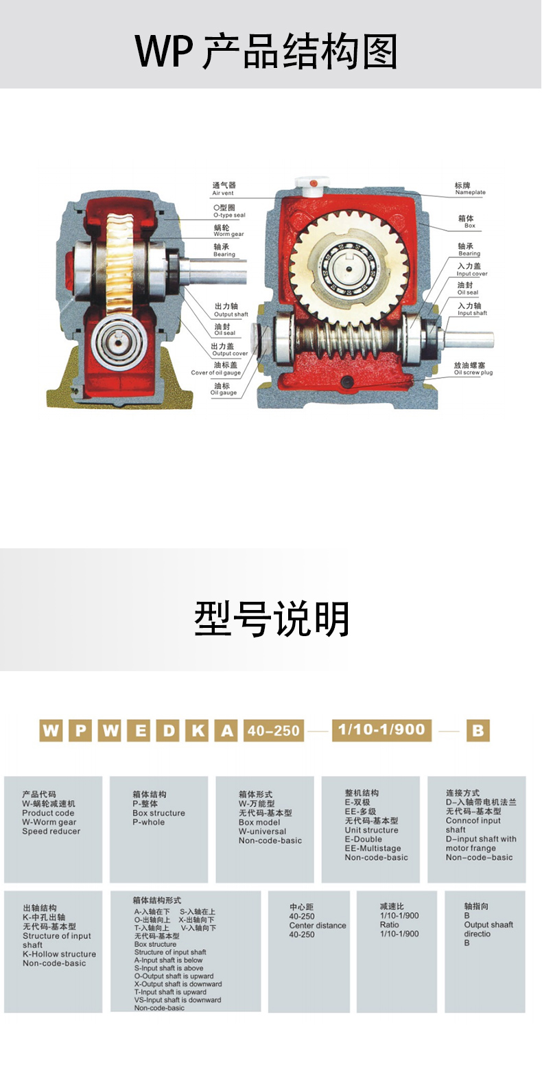 WP亿亿德中文切片_10